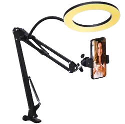 Overhead mobile video stand