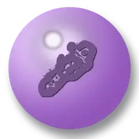 Blender grinding chopping
